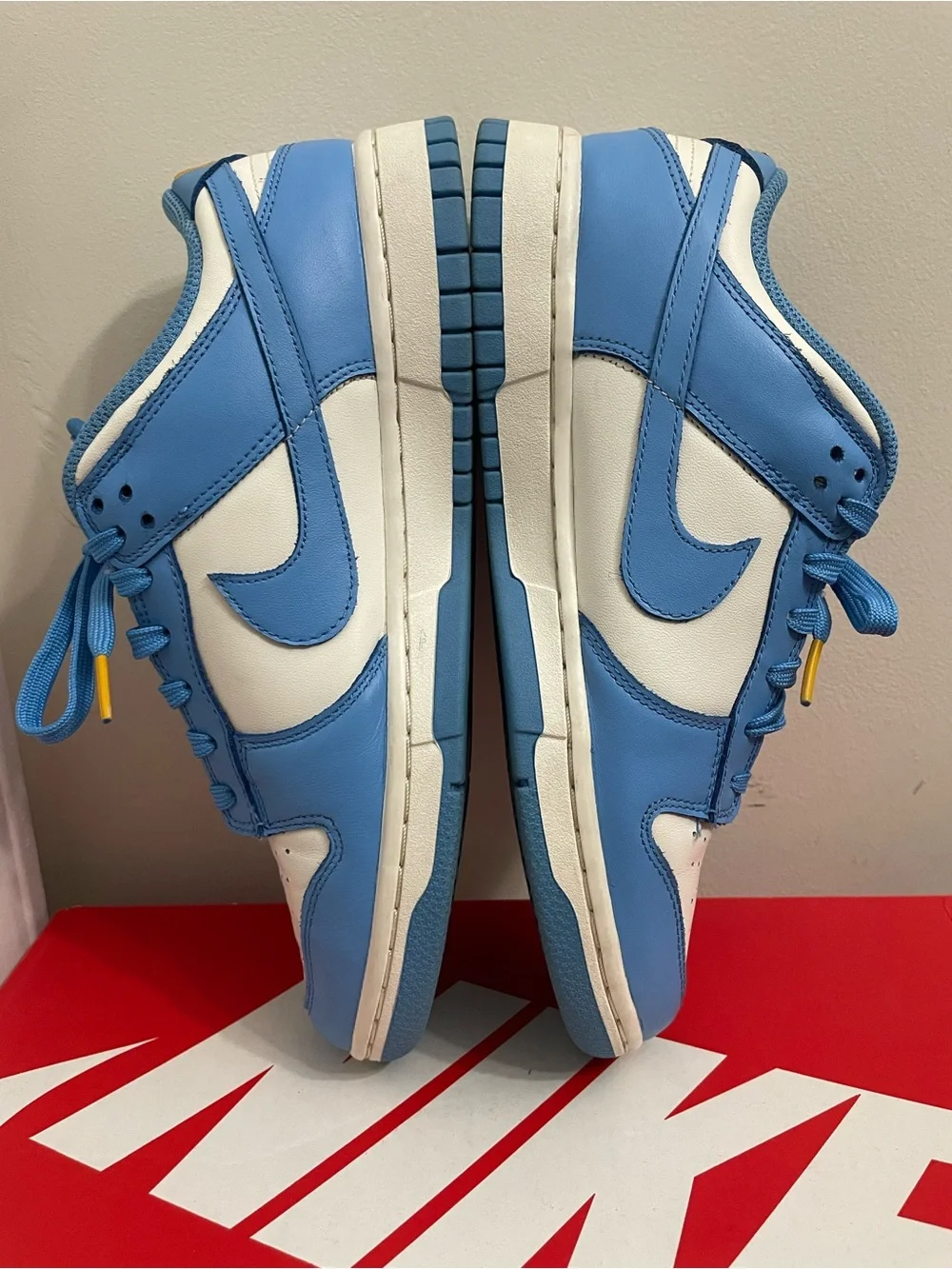 Nike Dunk Low “Coast”